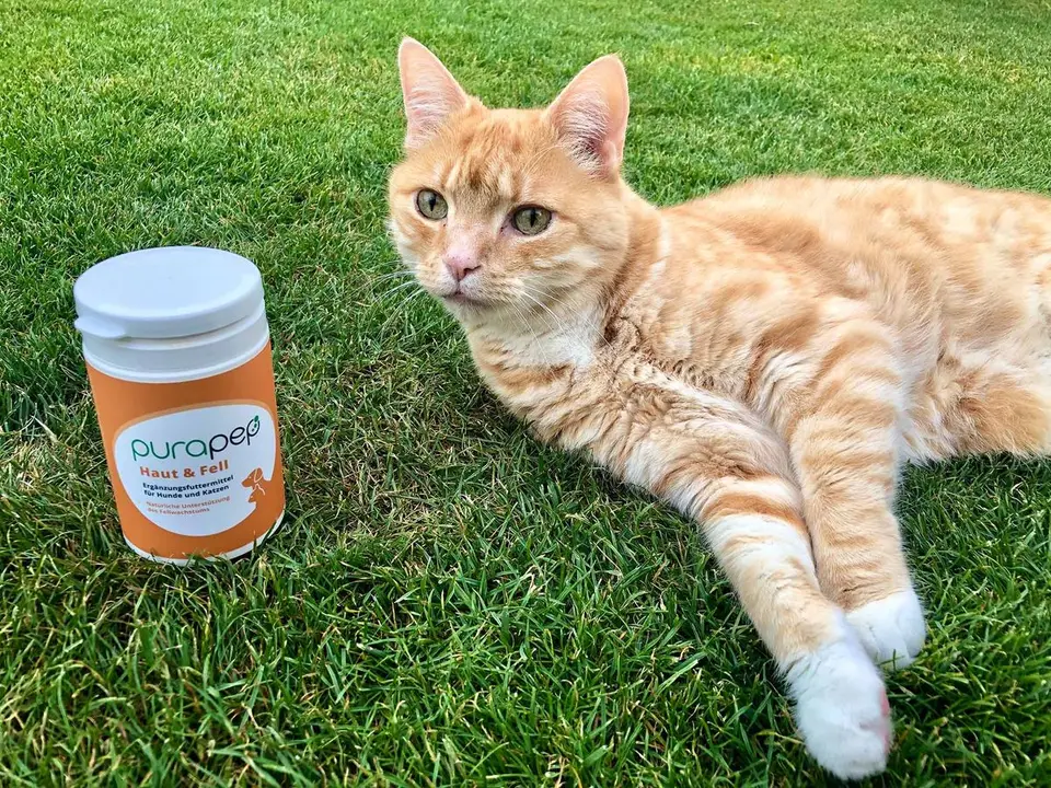 Purapep - Die funktionale Futterergänzung für Hunde & Katzen