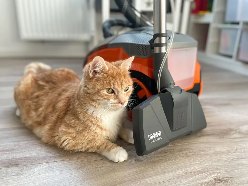 THOMAS AQUA+ Pet & Family Parquet Pro  - Wischen und Saugen in einem Abwasch