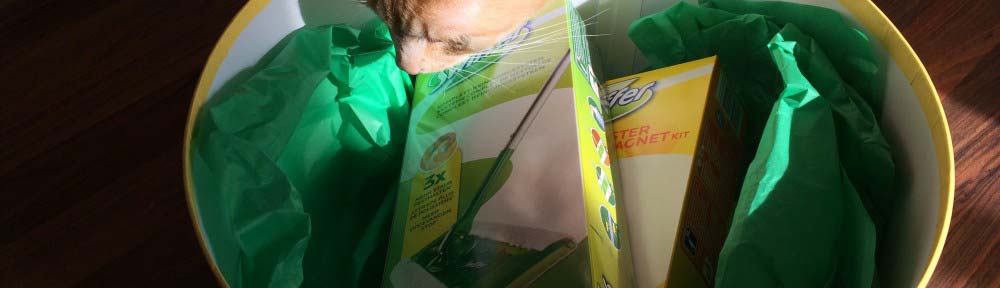 Leo schaut in Swiffer Paket