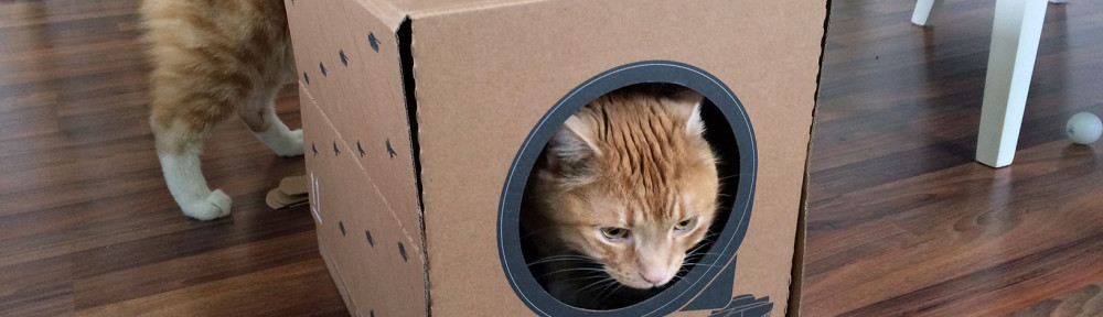 Das Poopy Cat Katzenklo wird betrachtet