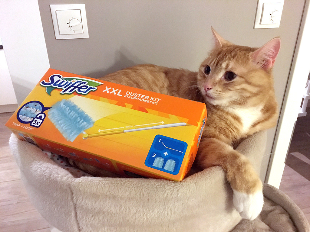Clio mit Swiffer Staubmagnet
