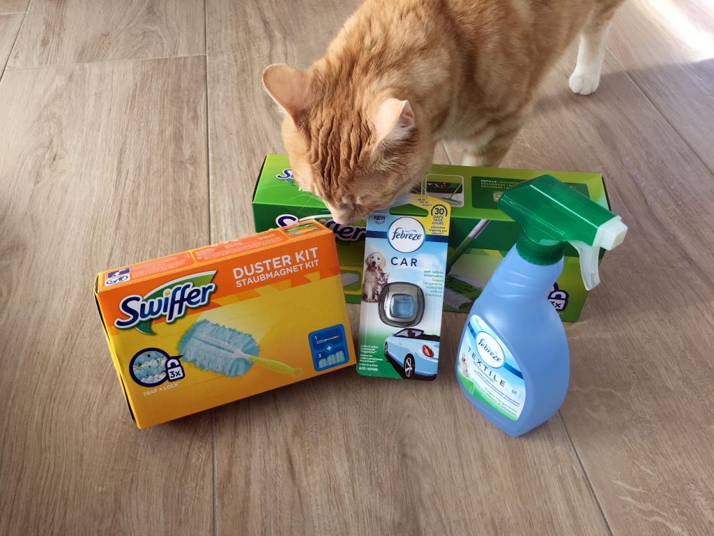 Clio beschnuppert das Paket von Swiffer & Febreze