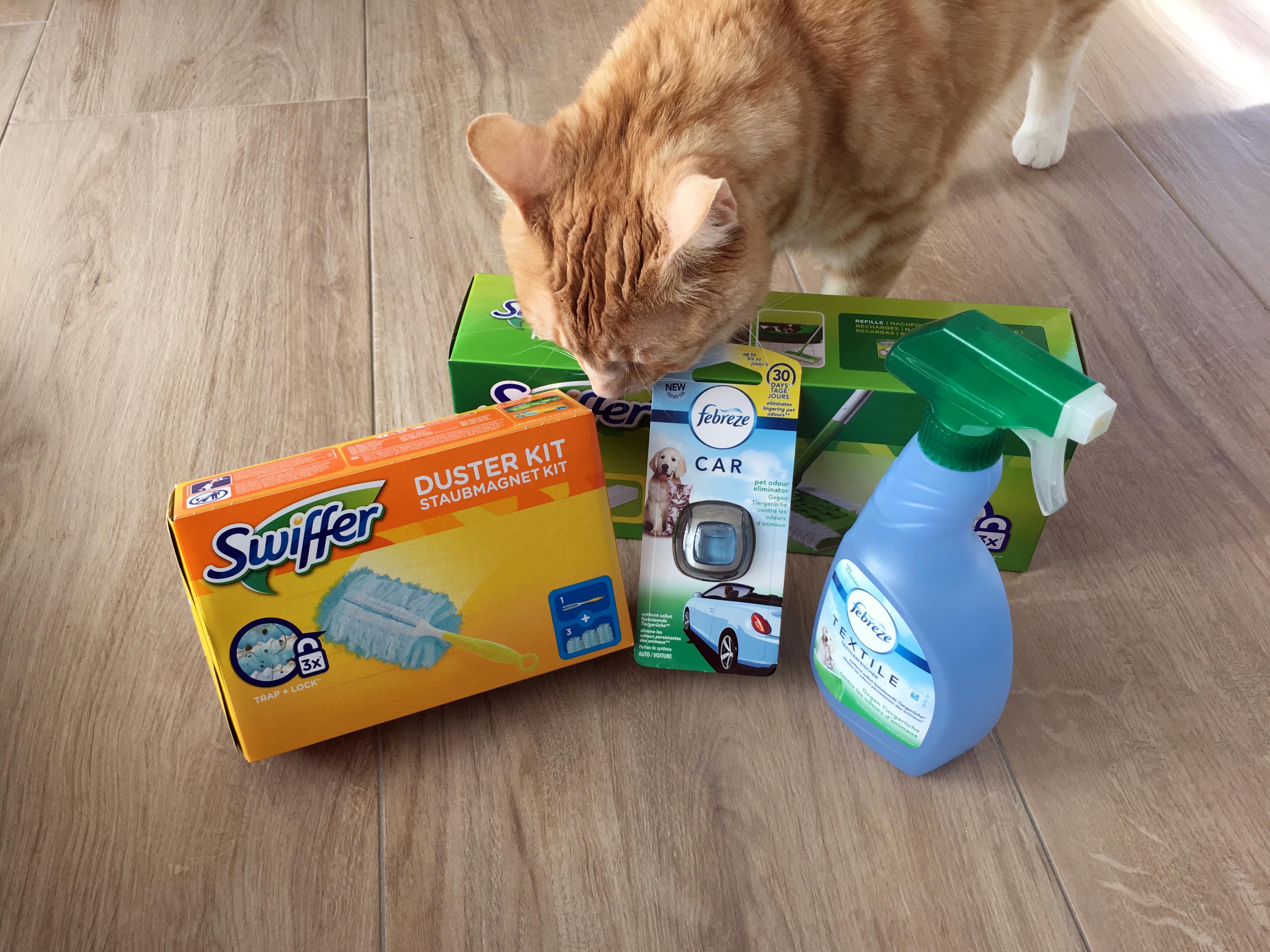 Clio beschnuppert das Paket von Swiffer & Febreze