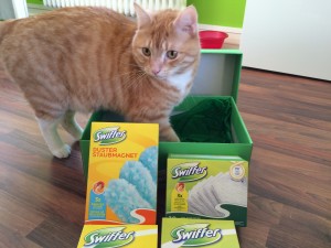 Unser Kater interessiert sich für Paket