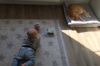 Katzen und Babys - Der erste Kontakt