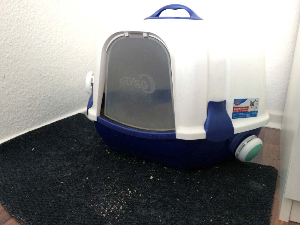 Katzenklo stinkt - Was tut man gegen den Geruch
