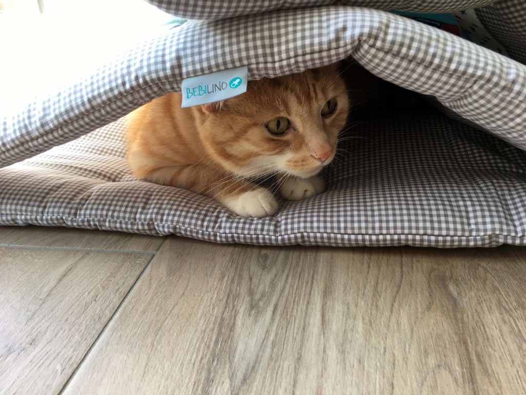 Leo versteckt sich gerne unter der Babydecke