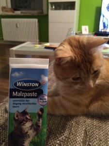 Malzpaste für Katzen hilft Haarballen zu verdauen