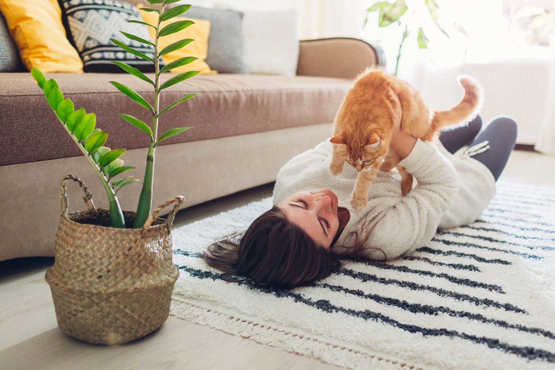 Malzpaste für Katzen