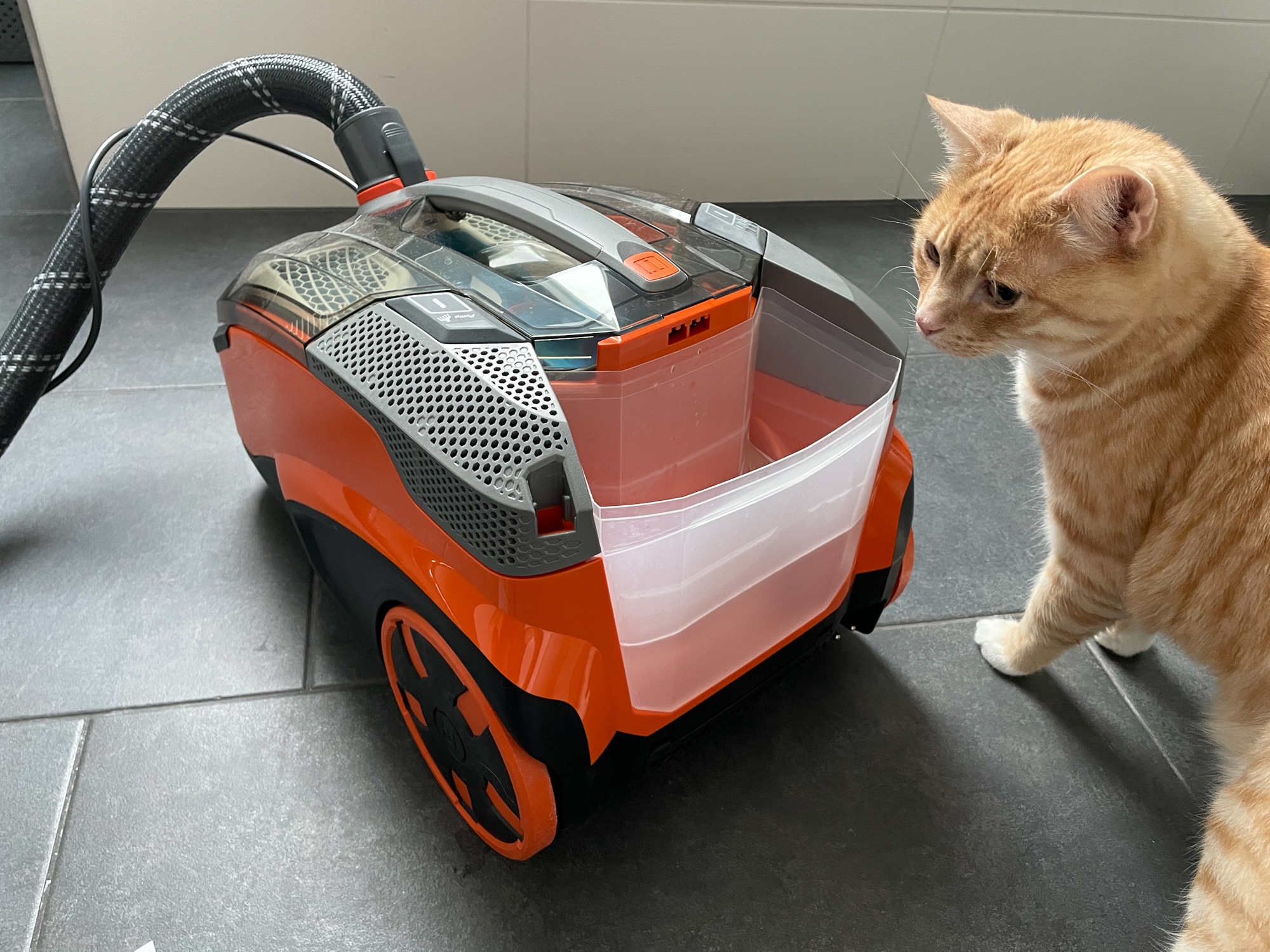 Thomas Aqua+ Pet & Family Stiftung Warentest THOMAS AQUA+ Pet & Family Parquet Pro - Wischen und Saugen in einem Abwasch