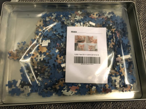 Viele einzelne Puzzleteile: Das 1.000 Teile Puzzle